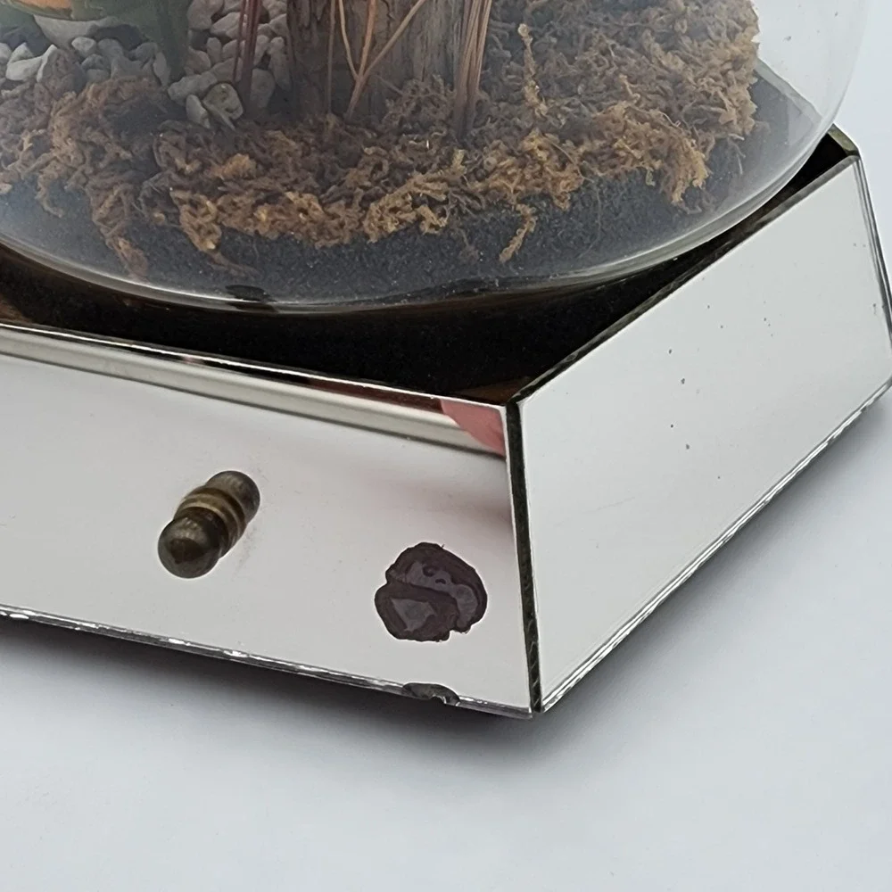 Vintage Glass Dome Floral Cloche with Butterfly Dried & Orange‎ Faux Flowers